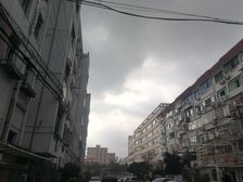 川沙·曙航苑·1室·1厅