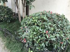 甘泉宜川·新灵小区·2室·1厅