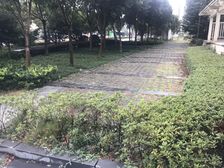 城市摩尔南部商务区旁房东诚心卖的楼层HAO欢迎看