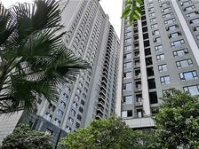 金府国际 2室2厅 东南