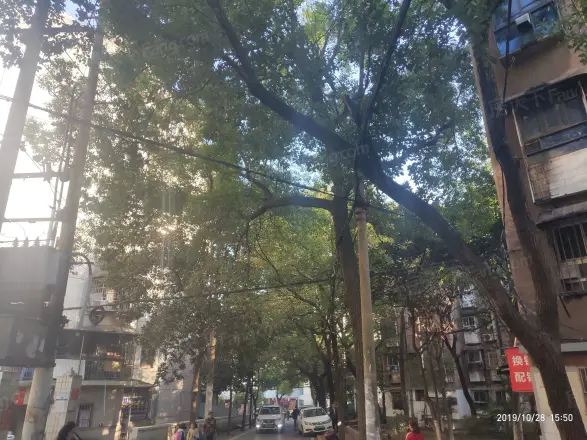 桂花二村