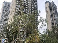 城南 恒大帝景 聚龙湖商圈 小区环境优美 交通便利。