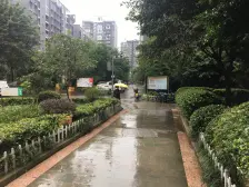 竹园小区(大渡口) 2室1厅 东南