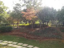 绿都温莎城堡 南北通透,采光好 装修好,环镜优美 近地铁 视野好,诚心出售