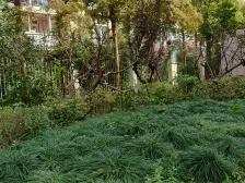 主卧朝南,环境优美,交通便利,居家装修