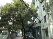 会波苑两室,低总价,刚需房,成熟配套,生活便利!