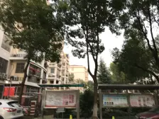 黑鱼弄小区 3室1厅 南 北