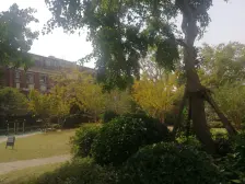 边套大联排别墅,精装修,位置好,满5