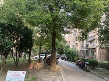 吴泾·银兆公寓·3室·1厅