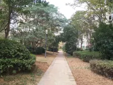 自住装修拧包即住,公园医院都在边上