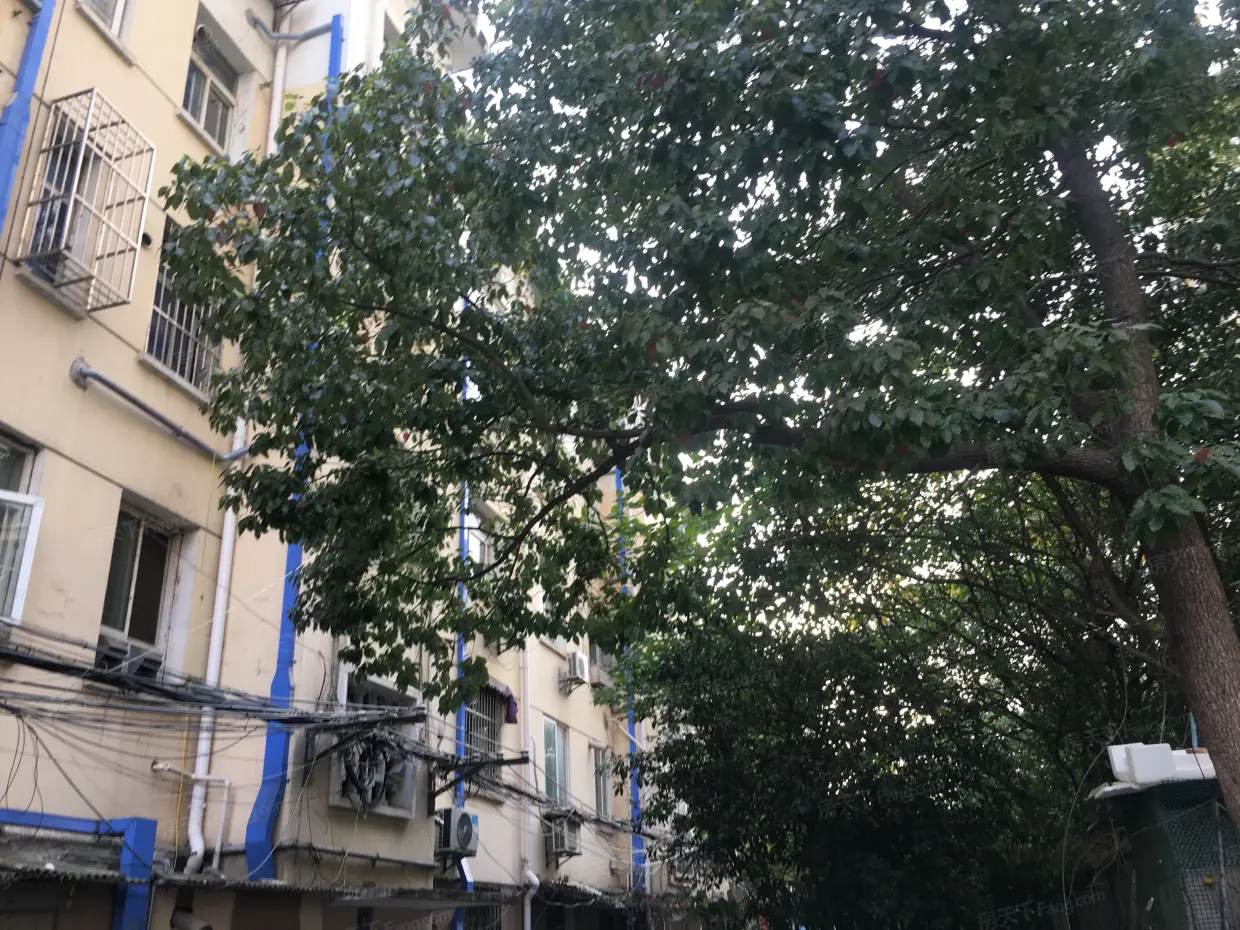 【南京长虹路443号小区,二手房,租房】- 南京房天下