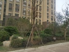 交通便利,购物方便,首付低,小区绿化好,环境好