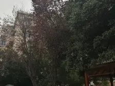航华·天一小区·2室·1厅