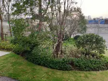 滨江凯旋门二期,陆家嘴次新豪宅,小户型大横厅黄浦江景二房