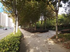 东站隔壁八达通户型方正楼层好看房方便