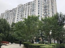 马家堡·枫竹苑·2室·1厅