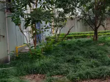 南大路86弄小区2室南朝向179.00万元/套出售