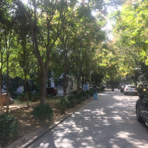 沃德花园 2室 1厅 97平米