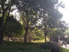 绿都温莎城堡 南北通透,采光好 装修好,环镜优美 近地铁 视野好,诚心出售