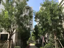 金悦湾二期 三室两厅 房主诚心出售