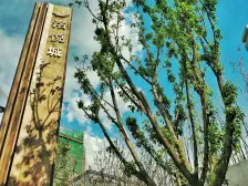 洺悦城公园里二期 4室1厅 东南