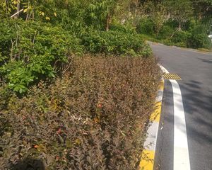 丽水熙园2室1厅南