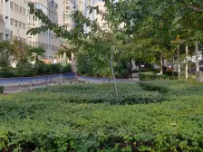 此房在中间楼层视野好 业主诚心出售 随时看 价格可谈