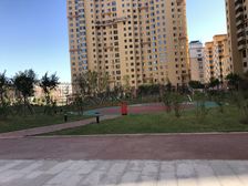 哈西两室明厅采光嘎嘎好中间楼层诚心出售空中花园