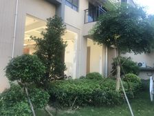 业主诚心,随时看房,带车位,小三房