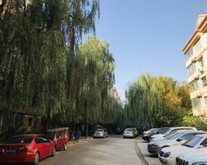 迎宾小区北区社区 3室2厅 南 北