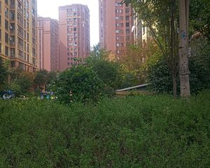湘府邻伴2室1厅南