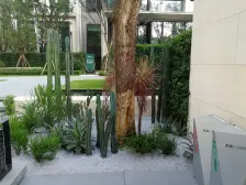 龙湖品质小区 观景大平台 视野开阔大阳台 板式结构