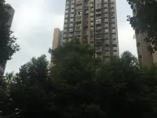 环湖雅居B区A组团 1室1厅 东南