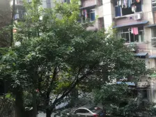 红金路 2室1厅 东南