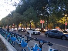 中环国际 精装修 一室一厅 看房方便