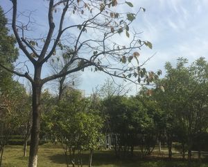 淞雅苑3室2厅南