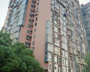 中间楼层采光视野好,装修保养好,家电齐全拧包入住