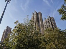 滨湖假日清华园1室1厅南