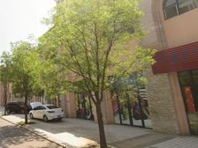 采光好。出行方便。。利用空间大。。