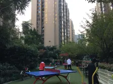 绿地世纪城 1室1厅 东