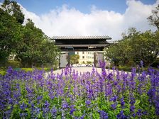远洋繁花里5室3厅南