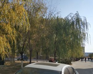 吾悦商圈万和城精装两居标准户型拎包入住可商量