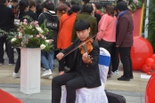 现场小提琴