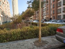 看房方便,诚心售卖,价格可议.