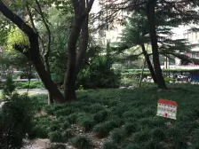 爱和大厦3室2厅2卫南朝向980.00万元/套出售