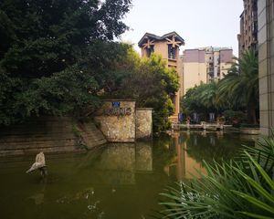 齐通旁,视野好可以看东坡岛和远景楼