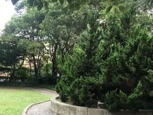 徐家汇烫金地段,中间楼层,低总价大三房,全明户型!诚意出售!