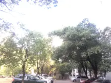 桃苑大街 桃苑一区 朝南一室 太阳光线充足