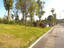 儿童公园旁,朝中庭,带露台,户型好