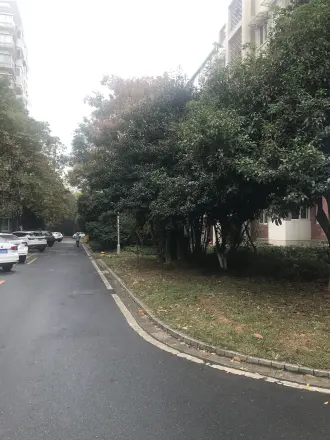 闲林山水